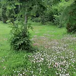 Сasa de vacaciones Saulepa Cottage