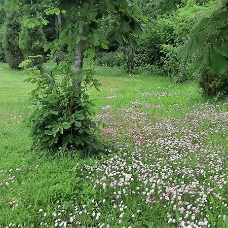Ferienhaus Saulepa Cottage