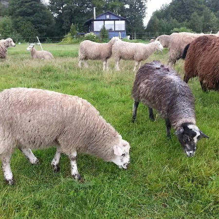 Saulepa Cottage بيت للعطل Saulepa