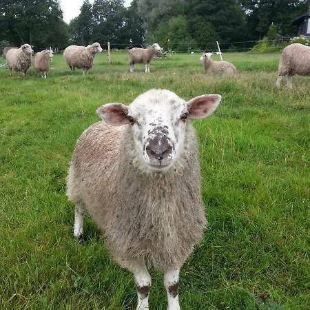 Saulepa Cottage * Saulepa