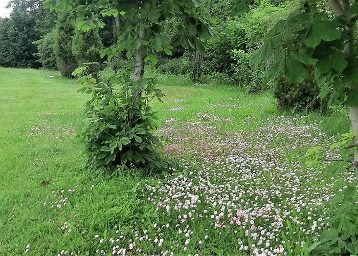 펜션 Saulepa Cottage