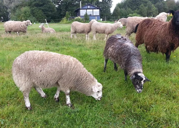 Saulepa Cottage 펜션 Saulepa