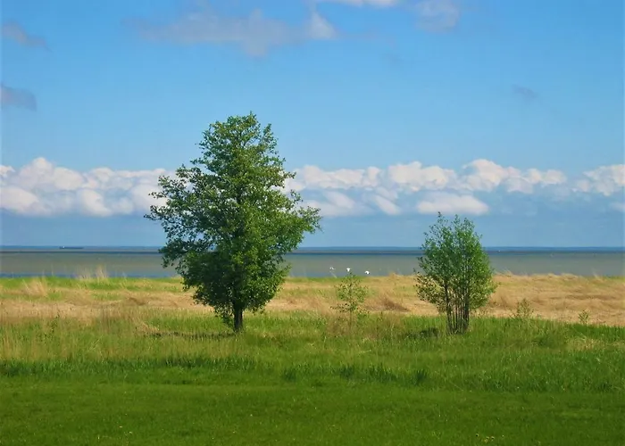 Saulepa Cottage 펜션 *